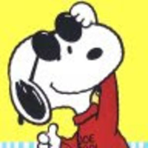 Meet your Posher, Lucy